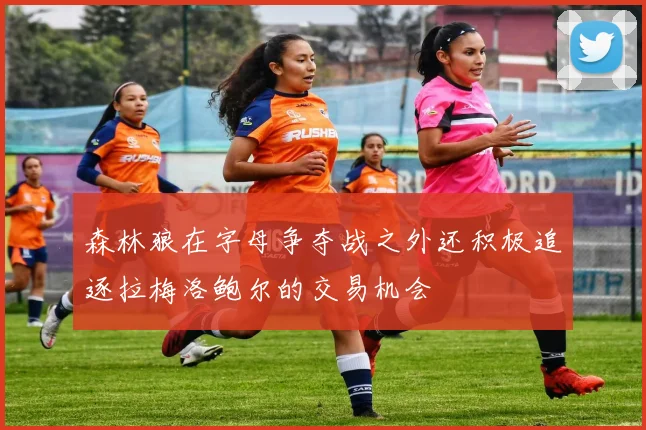 森林狼在字母争夺战之外还积极追逐拉梅洛鲍尔的交易机会